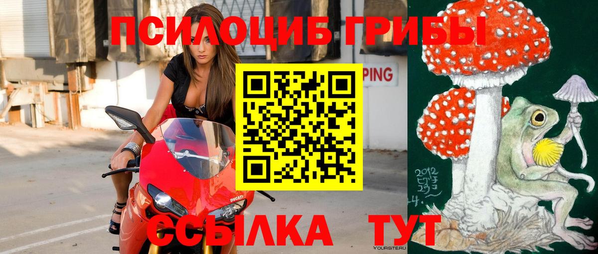 Ликино-Дулёво  Псилоцибиновые грибы GOLDEN TEACHER  Вход с VPN 