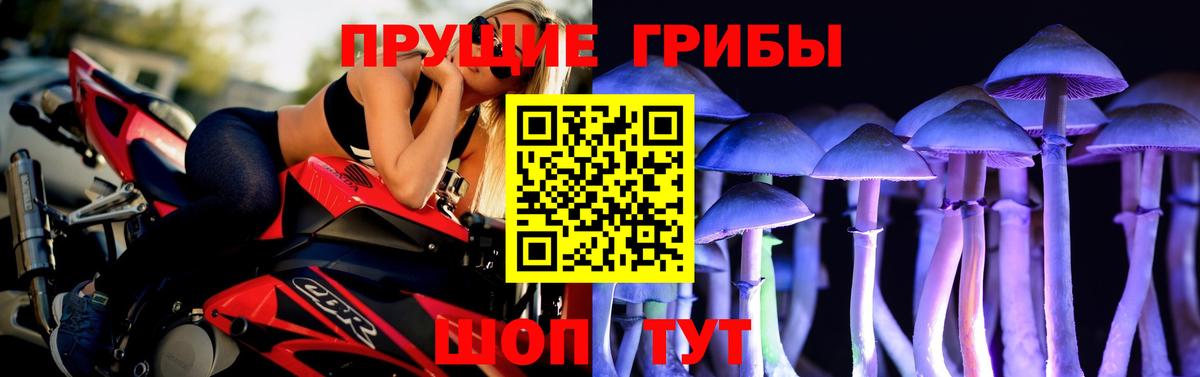 Псилоцибиновые грибы MAGIC MUSHROOMS Ликино-Дулёво